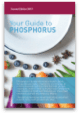 Image of Phosphorus Food Guide